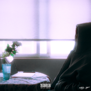 柏芝和冠希视频
