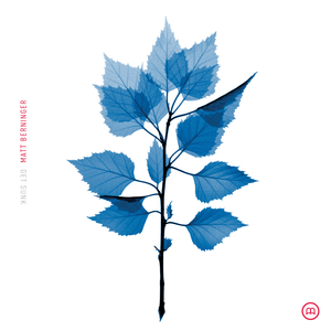 柏芝和冠希视频
